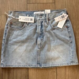 Aritzia Denim Mid Rise Mini Skirt